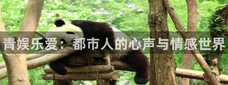 辉达官网首页登录入口